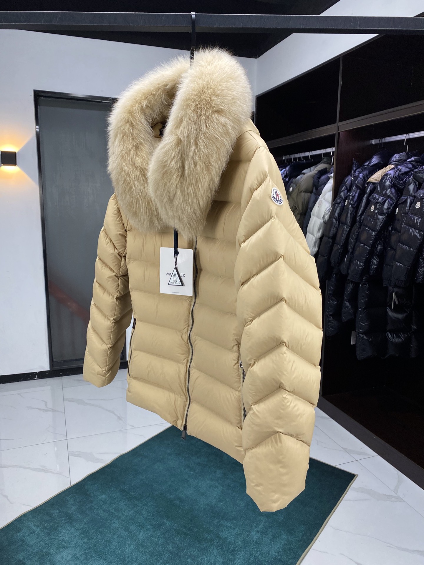 Moncler Down Jackets